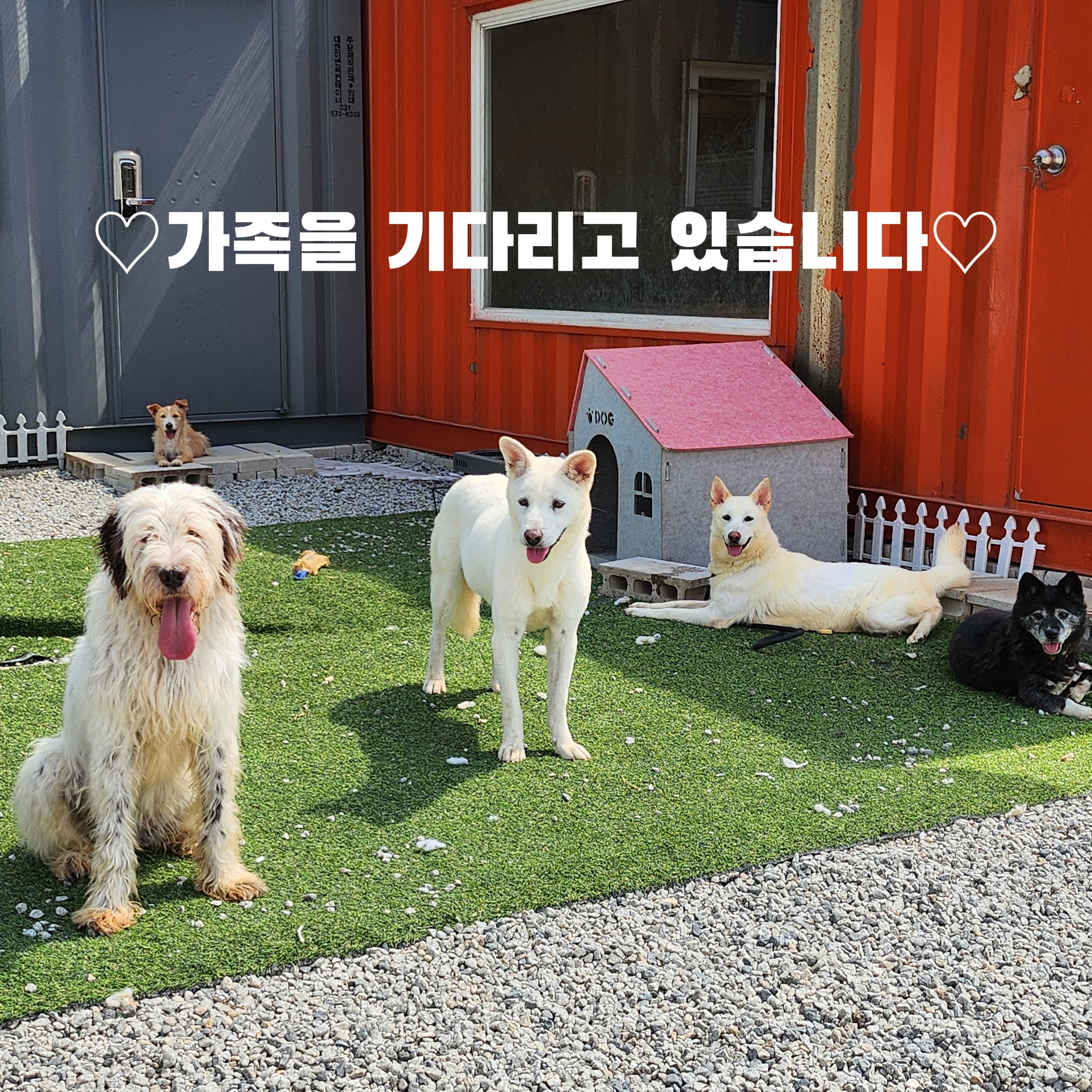 pc테스트